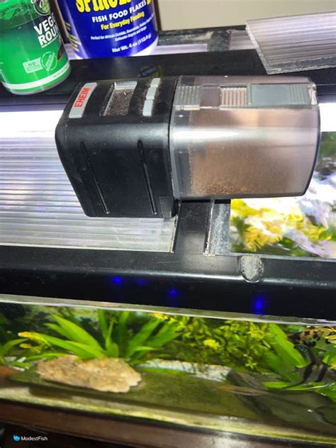 5 Best Automatic Fish Feeders Tested & Reviewed 2024 .